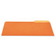 UNIVERSAL File Folders 1/3 Cut One-Ply Top Tab Letter Orange/Light Orange
