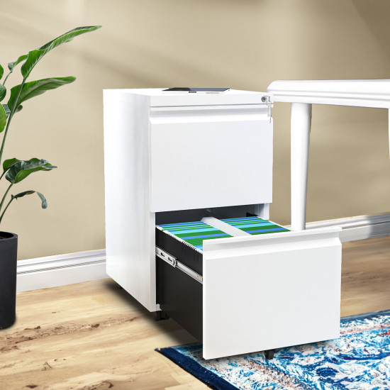 TAUS Mobile Metal Filing Cabinet 2-Drawer Vertical File Cabinet Office Storage 