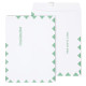 tions First Class Catalog Envelopes 9"L x 12"H White and Green