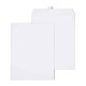 tions Gummed Catalog Envelopes 10"L x 13"H White 100/Box (295840N)