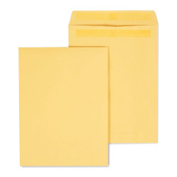 tions Self Seal Catalog Envelopes 9"L x 12"H Brown 100/Box