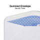 tions Standard Invoice Dbl Window Security-Tint Gummed #9